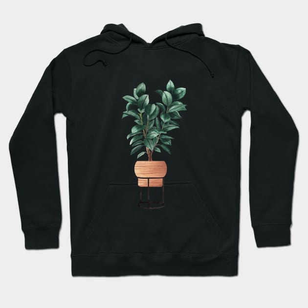 Ficus Elastica Illustration Hoodie by gusstvaraonica